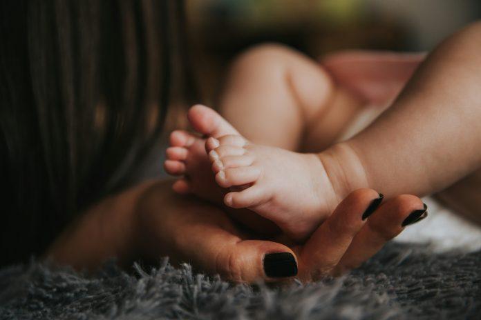 embracing motherhood