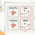 LMC Bilingual Matching Game Graphics-Spring