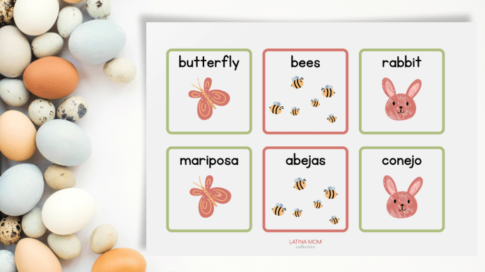 LMC Bilingual Matching Game Graphics-Spring