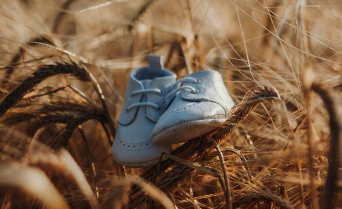 luise-and-nic-9BMvbnkwVZ0-unsplash